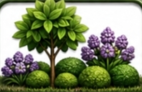 Softscape Landscaping